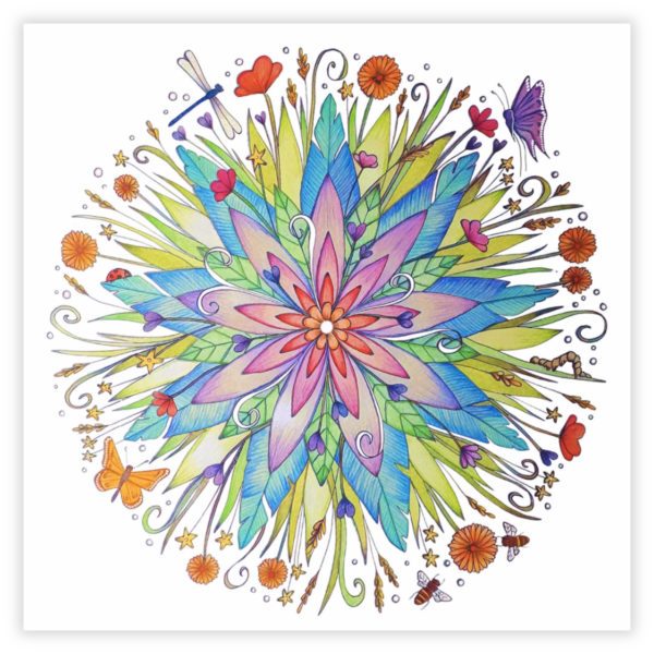 Holistic Vision – Image 2