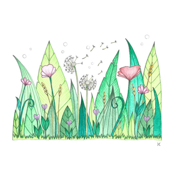 Semer – Image 2